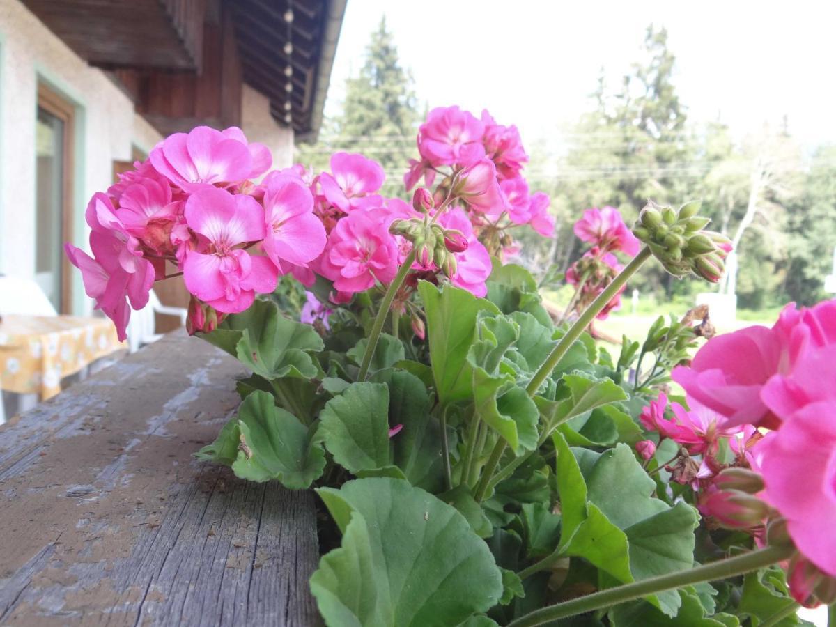 Beim Haxenwirt Hotel 2*